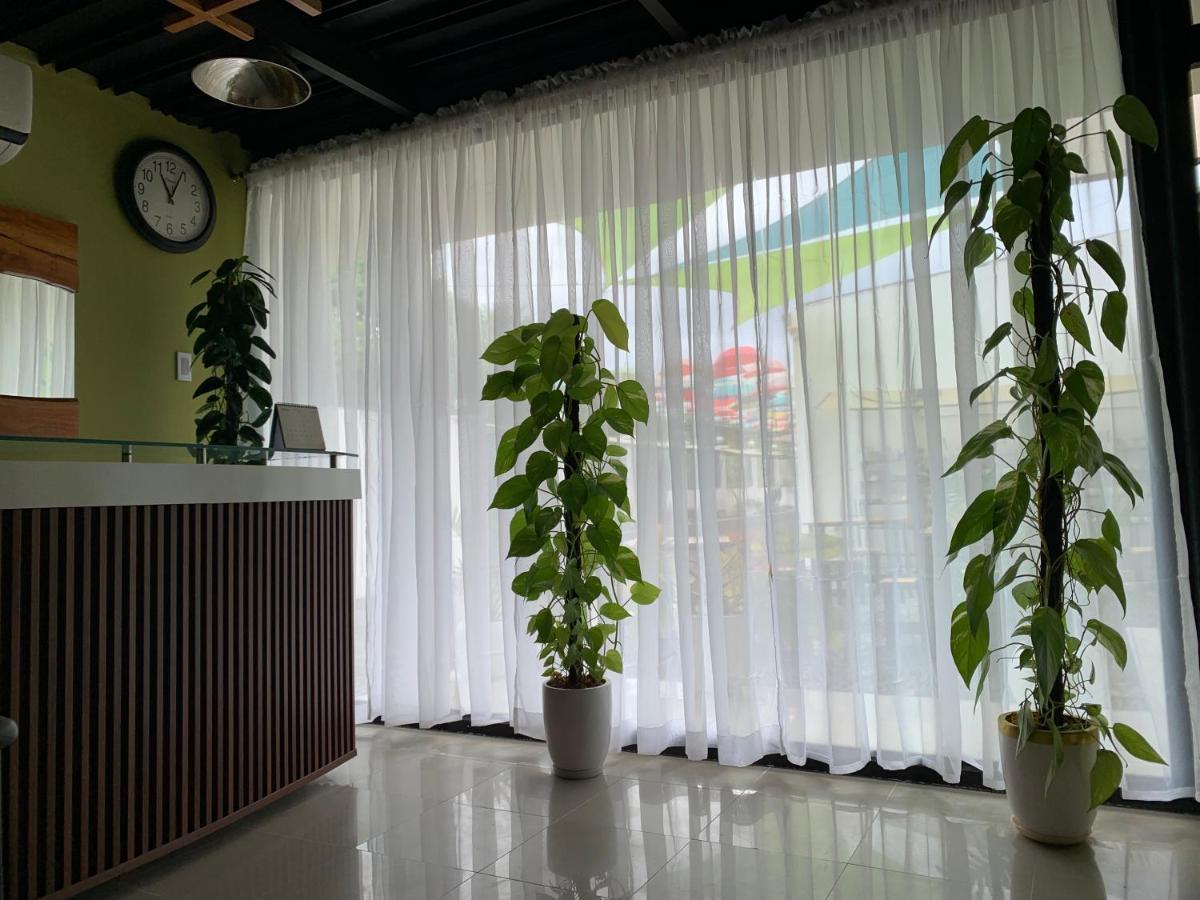 Sunshine Stay Panglao Exterior foto